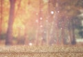 Blurred abstract photo of light burst among trees and glitter bokeh lights. filtered image and textured. Royalty Free Stock Photo