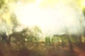 Blurred abstract photo of light burst among trees and glitter bokeh lights. filtered image and textured. Royalty Free Stock Photo