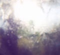 Blurred abstract photo of light burst among trees and glitter bokeh lights. filtered image and textured. Royalty Free Stock Photo