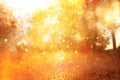 blurred abstract photo of light burst among trees and glitter golden bokeh lights. Royalty Free Stock Photo