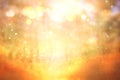 blurred abstract photo of light burst among trees and glitter golden bokeh lights. Royalty Free Stock Photo