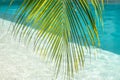 Blurred abstract summer background, sunny day in tropical climate, palm leaf on background of blue water pool. Vacation Royalty Free Stock Photo