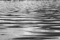 Blurred abstracted water surface in black and white mode with selective focus