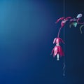 Blurred Analog Photograph Of Fuchsia In Front Of Dark Blue Wall