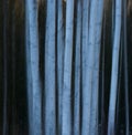 ICM - Intentional Camera Movement - Aspen Stems Royalty Free Stock Photo