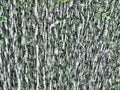 Blurred backdrop with motion splashing water droplets   copy space  background for design Royalty Free Stock Photo