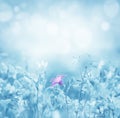 Blurred background with flowers Royalty Free Stock Photo