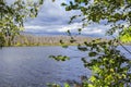 Blurred background forest lake framed yellowing leaves in cloudy weather Royalty Free Stock Photo