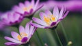 Blurred background with full focus on purple flowers, yellow anthers