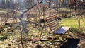 Blurred background of garden bench under hazelnut branches