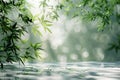 A blurred background of green bamboo leaves, with light and shadow on the left side of the screen. the foreground is a light Royalty Free Stock Photo