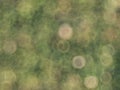 Blurred background with green and yellow bokeh circles