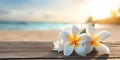Blurred_background_image_with_a_blooming_tropical_flowers_1690449101063_8 Royalty Free Stock Photo