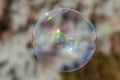 Large bubble with smaller mini version growing from it Royalty Free Stock Photo