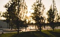 Blurred background with long shadows from trees in park. Silhouettes of unrecognizable people walking in park. Royalty Free Stock Photo