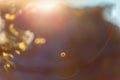 Blurred background with natural sun flare. Abstract blurred background. Abstract blur morning light Royalty Free Stock Photo