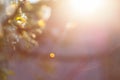 Blurred background with natural sun flare. Abstract blurred background. Abstract blur morning light Royalty Free Stock Photo