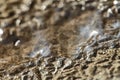 Blurred background in neutral tones. Unobtrusive background. Abstract background with bokeh