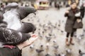 Blurred background of people feeding pigeons, closeup of a hand holding out bird feed Royalty Free Stock Photo