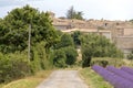 Blurred background with small countryside dirt road along the purple lavender field in Provence village, France Royalty Free Stock Photo