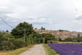 Blurred background with small countryside dirt road along the purple lavender field in Provence village, France Royalty Free Stock Photo