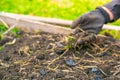 Spring work on the garden beds close-up. Plowing garden soil with mulch and charcoal. Woman's hand in a glove