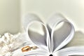 Blurred background of wedding rings and open book Wedding background Royalty Free Stock Photo