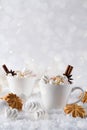 Blurred background of winter frost and Christmas chocolate spice beverage with cookies in cups