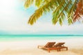 Blurred beach background with beach chairs under coconut tree Royalty Free Stock Photo