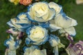 Blurred blue and white rose bouquet.