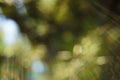 Blurred bokeh background with solar glow spectrum rays of all shades Royalty Free Stock Photo