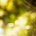 Blurred bokeh background with solar glow spectrum of rays in all shades Royalty Free Stock Photo