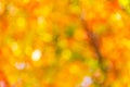 Blurred bokeh colorful autumn leaves background Royalty Free Stock Photo