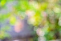 Blurred bokeh multicolor nature background