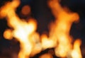 Blurred Bonfire Glow Orange Flames and Shifting Light, Creating an Atmospheric Campfire Experience Royalty Free Stock Photo