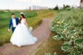 Blurred Bride and groom walking in nature. Soft focus on the green stem. Artwork. Royalty Free Stock Photo