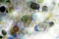 Blurred bubbles, glass ball on abstract colorful background