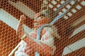 Blurred buddhist sculpture behind a fence at the Senso-ji Temple, Tokyo, Japan Royalty Free Stock Photo