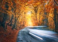 Blurred car going mountain road in autumn forest at sunset