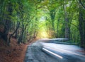 Blurred car going mountain road in summer forest at sunset Royalty Free Stock Photo