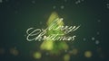 Blurred christmas tree and handwritten holiday greetings 3D render