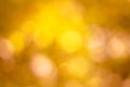 Blurred christmas tree lights on background. Design effect focus happy holiday party glow texture white wall bokeh sun sunny star Royalty Free Stock Photo