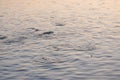 blurred circled waves on in river water surface with sunlight in the evening for wetness backdrop