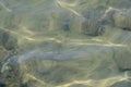 Blurred of clear water waves overlooking the ground and fish.