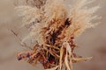 Blurred close up photo of female hand holding beautiful autumn bouquet of dried flowers. Royalty Free Stock Photo