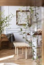 Blurred close-up of a plant with a wooden bench in the background in a rustical daily room interior. Real photo