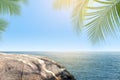 Blurred coconut tree leaf and stone beach at coastline, rocks front the beach stone sea background of beach sunshine in summer