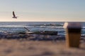 Blurred coffee cup at the beach with a beautiful seascape in the background Royalty Free Stock Photo