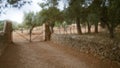 Blurred countryside scene in mallorca with defocused gate and stone path surrounded by trees and nature Royalty Free Stock Photo