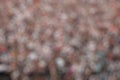 Blurred crowd of spectators on a stadium tribune